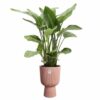 Blumentopf Elho