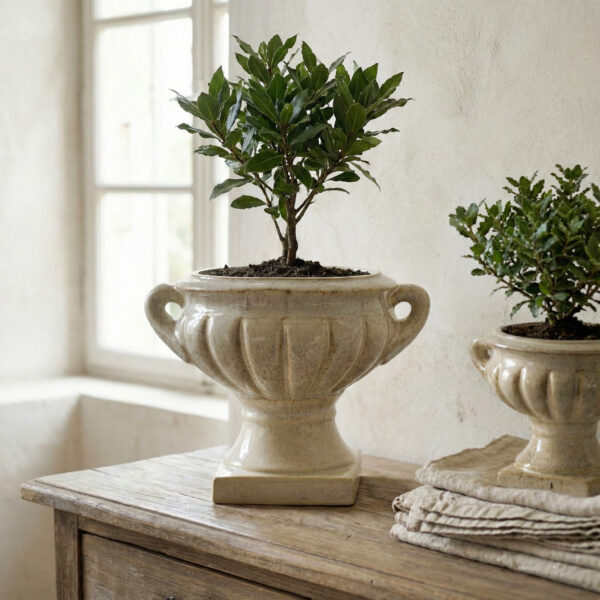 Keramik Vase Beige – Dekorativer Blumentopf im Kelch Design EVAM